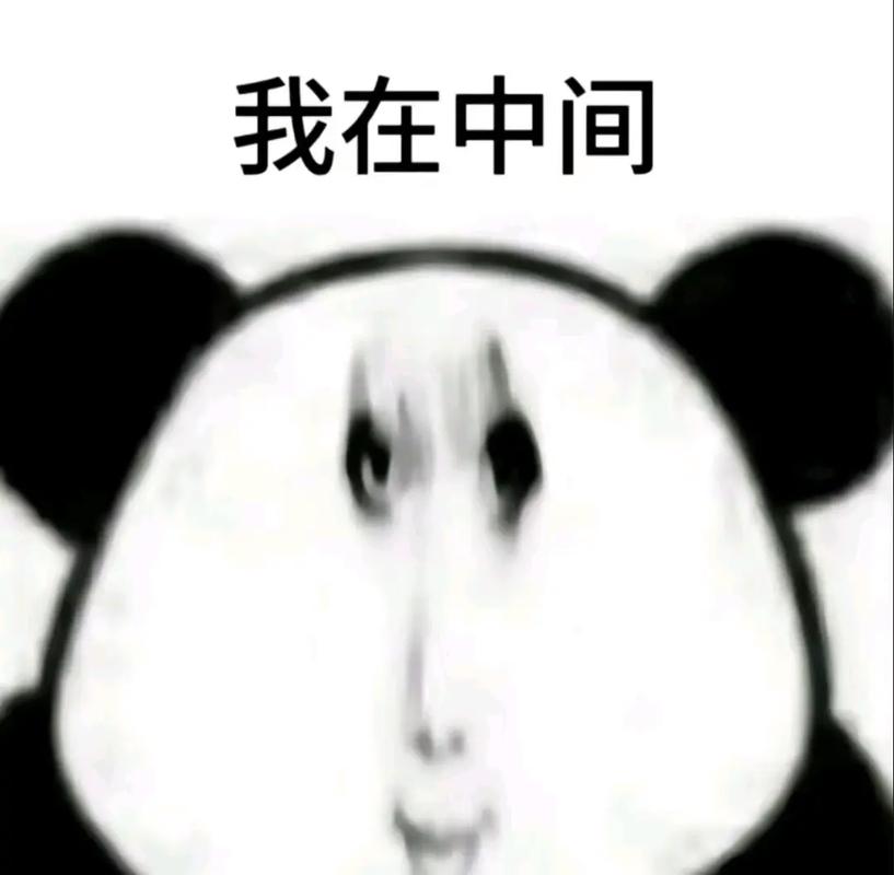 《我知罪，我存在，我继续，我不后悔》